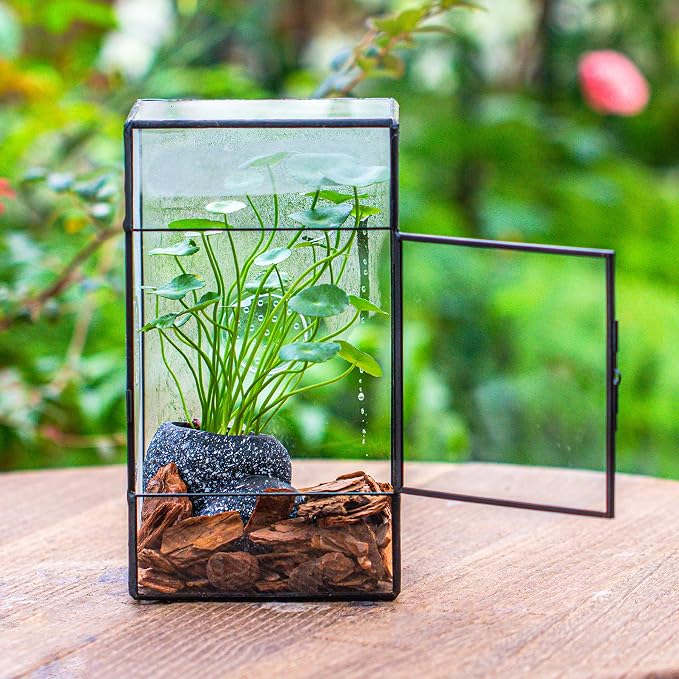 NCYP Glass Enclosure for Large Jumping Spider - 5.1" x 3.9" x 9" Front Opening Door Glass Terrarium with 3 Vent Holes, Small Snail, Insects Habitat, Black (Terrarium Only)