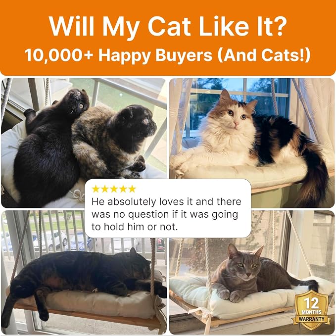 Large Cat Window Perch with Industrial-Grade Suction Cups – Solid Pine Wood Hammock Bed, Soft Cushion - 42 lb Capacity for Heavy Cats Inside