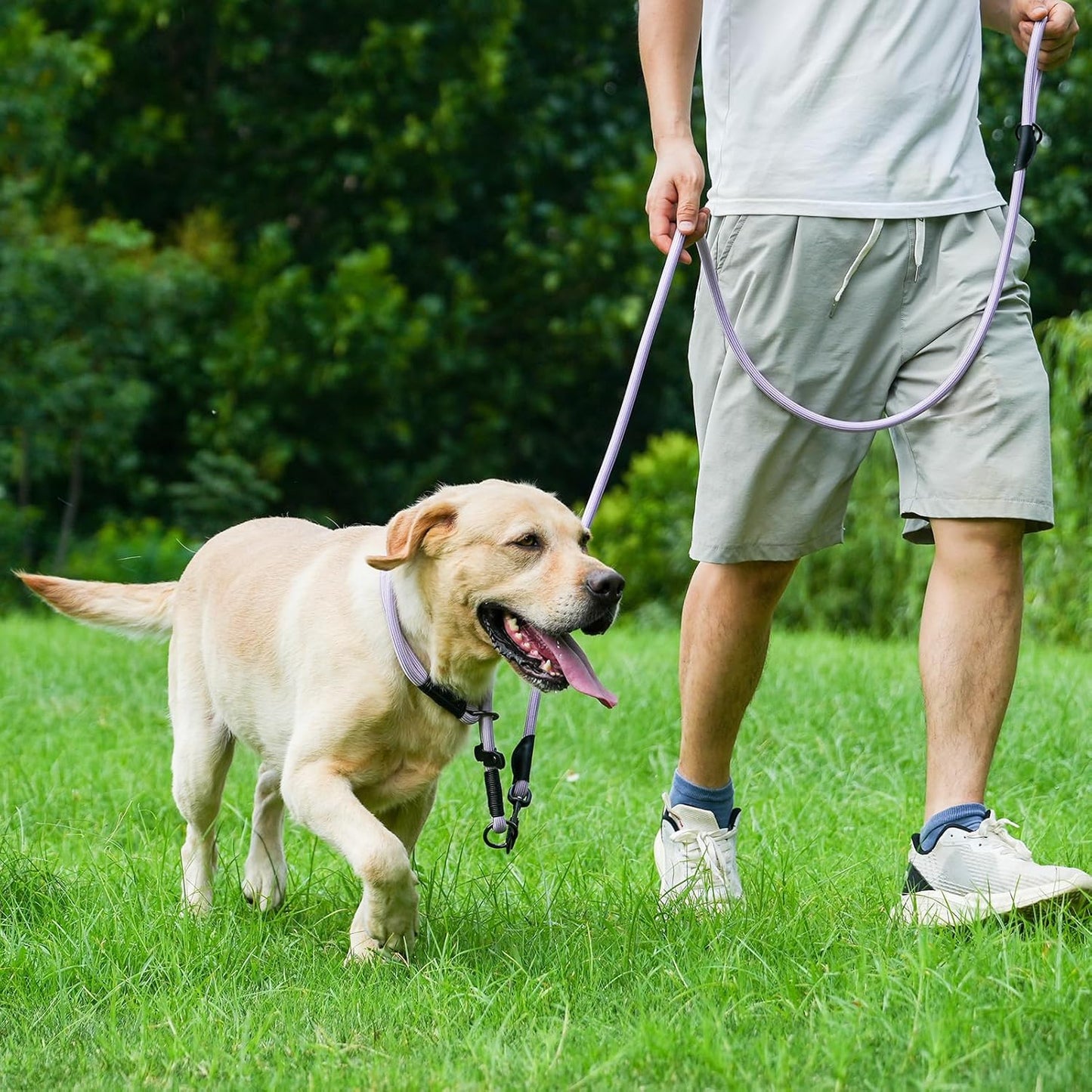 Rope Dog Leash, 6 Foot Heavy Duty Dog Leash with Aviation Aluminum Auto Locking Carabiner, Strong Nylon Pet Lead for Small, Medium, Large Dogs (Purple, 6FT)