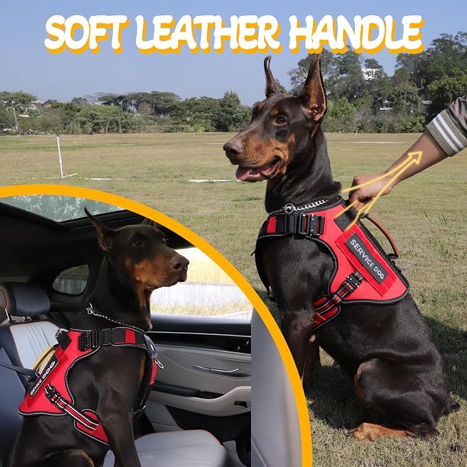 Service Dog Vest - HEYCAHVA Tactical Dog Harness Full Metal Buckles for Large Medium Dog Reflective No Pull Dogs Harnesses Vest with Leather Handle, Hook & Loop for Hiking Training (Red, L)