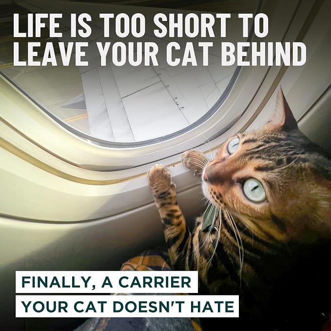 OutdoorBengal Zeppelin™ Airline-Approved Large Cat Carrier Soft – TSA-Approved Pet Carriers with Top Opening for Plane and Car Travel – Kittens or Small Dog Carrier (Black)