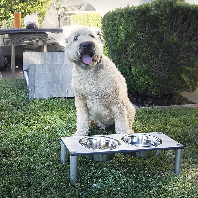 Raised Pet Bowls for Cats and Dogs, Outdoor Elevated Dog Cat Food and Water Bowls Stand Feeder on Aluminum Legs with 2 Stainless Steel Bowls Sizes for Small Medium and Large Dogs. - Medium (Monte)