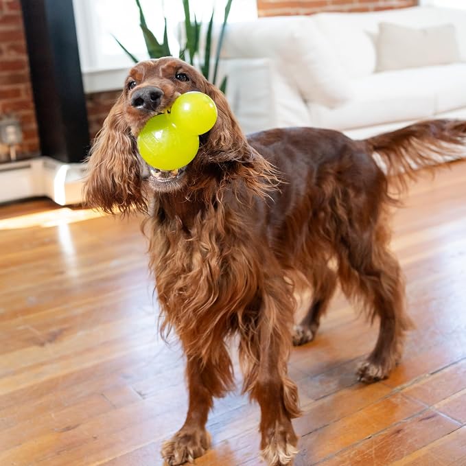 Outward Hound Double-Tuff Stuffable Dog Toy, Large 5-Inch Green - Treat Dispensing Chew Ball for Medium to Large Dogs, Interactive Puzzle for Enrichment & Slow Feeding