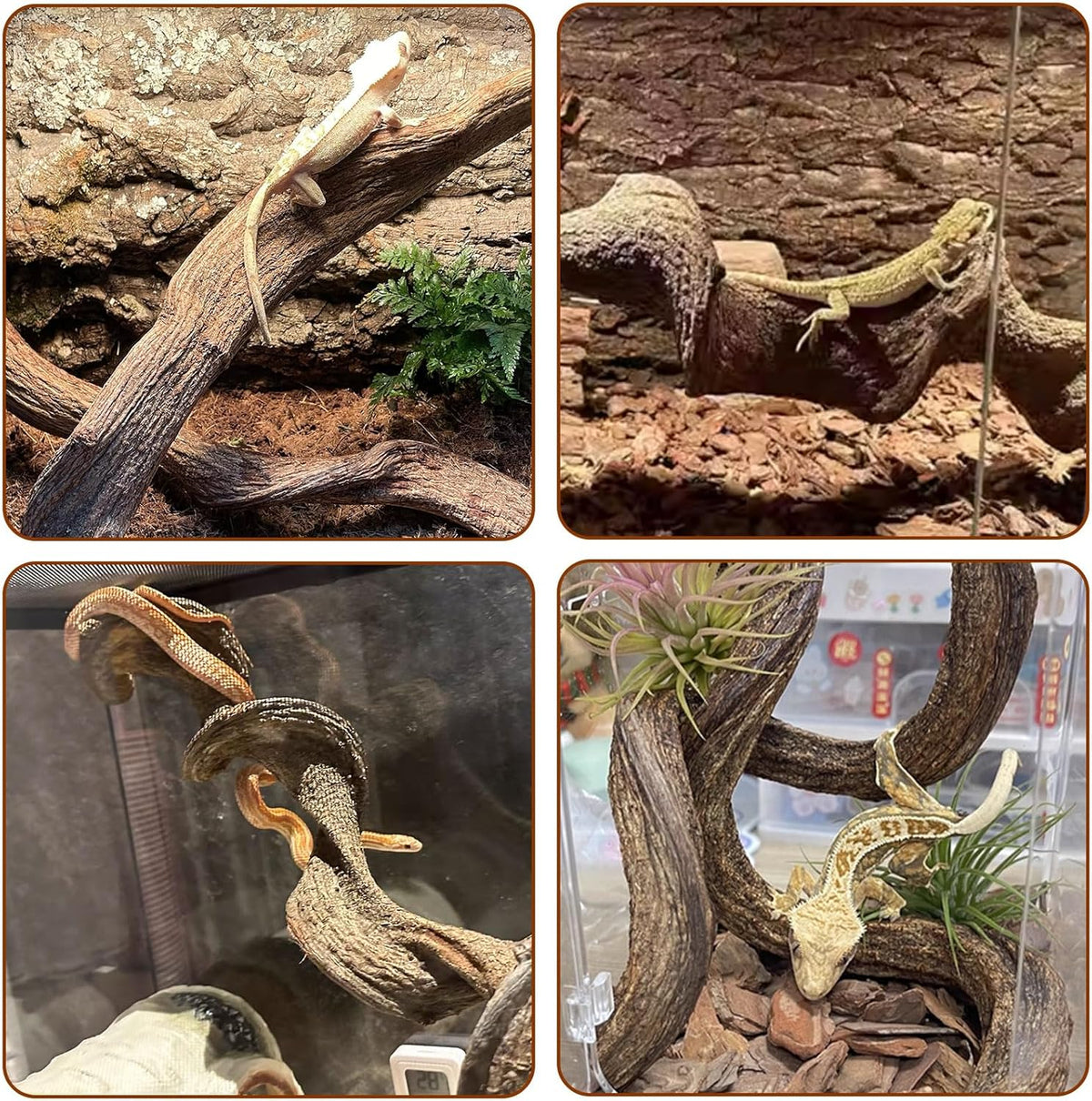 BNOSDM 3Pcs Reptile Climbing Branches Decor,Snake Climbing Branch,Gecko Climb Wood,Lizard Forest Branch,Tank Habitat Tree Trunk Decorations for Bearded Dragons,Chameleons,Spider,Frogs (M)