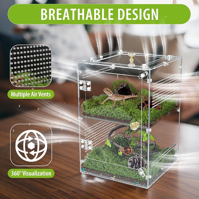 Large Jumping Spider Enclosure, 2 in 1 Ventilated Reptile Terrarium for Praying Mantis,Arboreal Tarantula,Crested Gecko, 12"*8"*8" Acrylic Habitat with Removable Divider,Front Opening & Top Lid