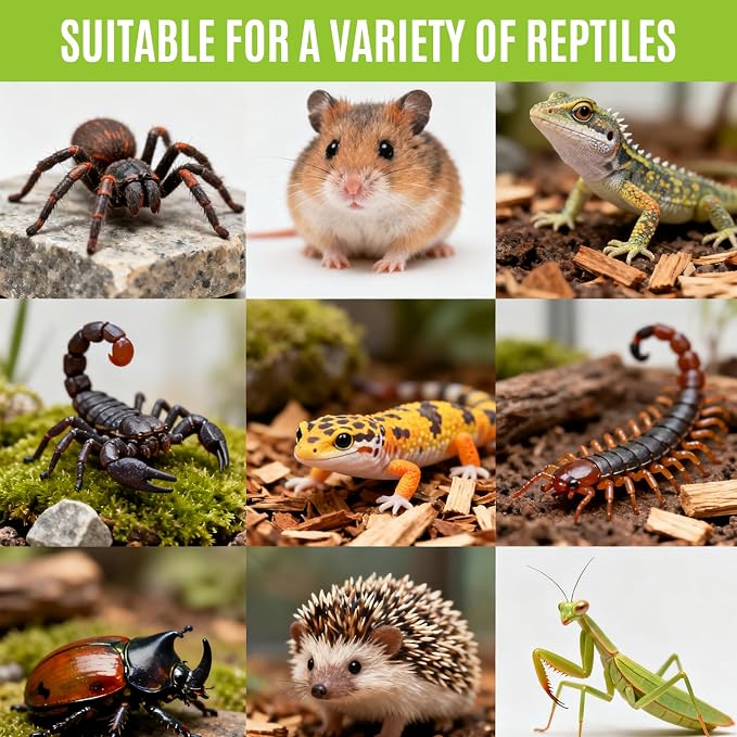Jumping Spider Enclosure, Front-Opening Acrylic Spider Terrarium,Laser-Cut Biomimetic Ventilation System, Escape-Proof for Feeder Insects