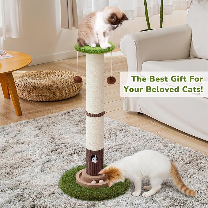Woochpet Cat Scratching Post 34 Inch Tall Heavy Duty Sisal Scratcher with Interactive Track Mouse Toy Condo Top Jingle Balls for Indoor Kittens,Green