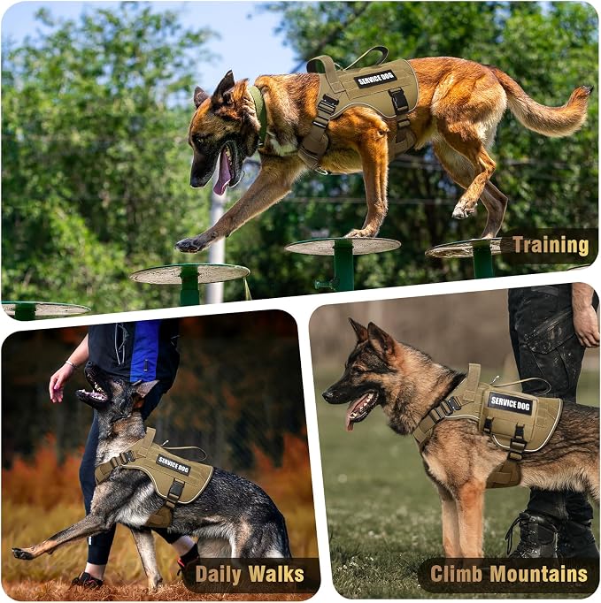 2X Metal Buckle Service Working MOLLE Dog Vest with 10 Pet Patches | Tactical Dog Harness for Large Dog, No-pull Military Working Vest for Training Hunting Walking,2x D Rings for Leash Clip