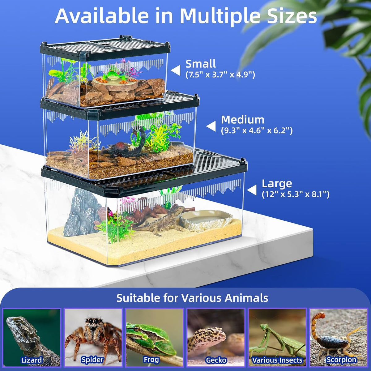 High-Transparency Reptile & Insect Enclosure Terrarium with Magnetic Door, Excellent Ventilation, Easy Cleaning, and Strong, Long-Lasting Build for Gecko, Tarantula, Hermit Crab (12x8.1x5.3 Inch)