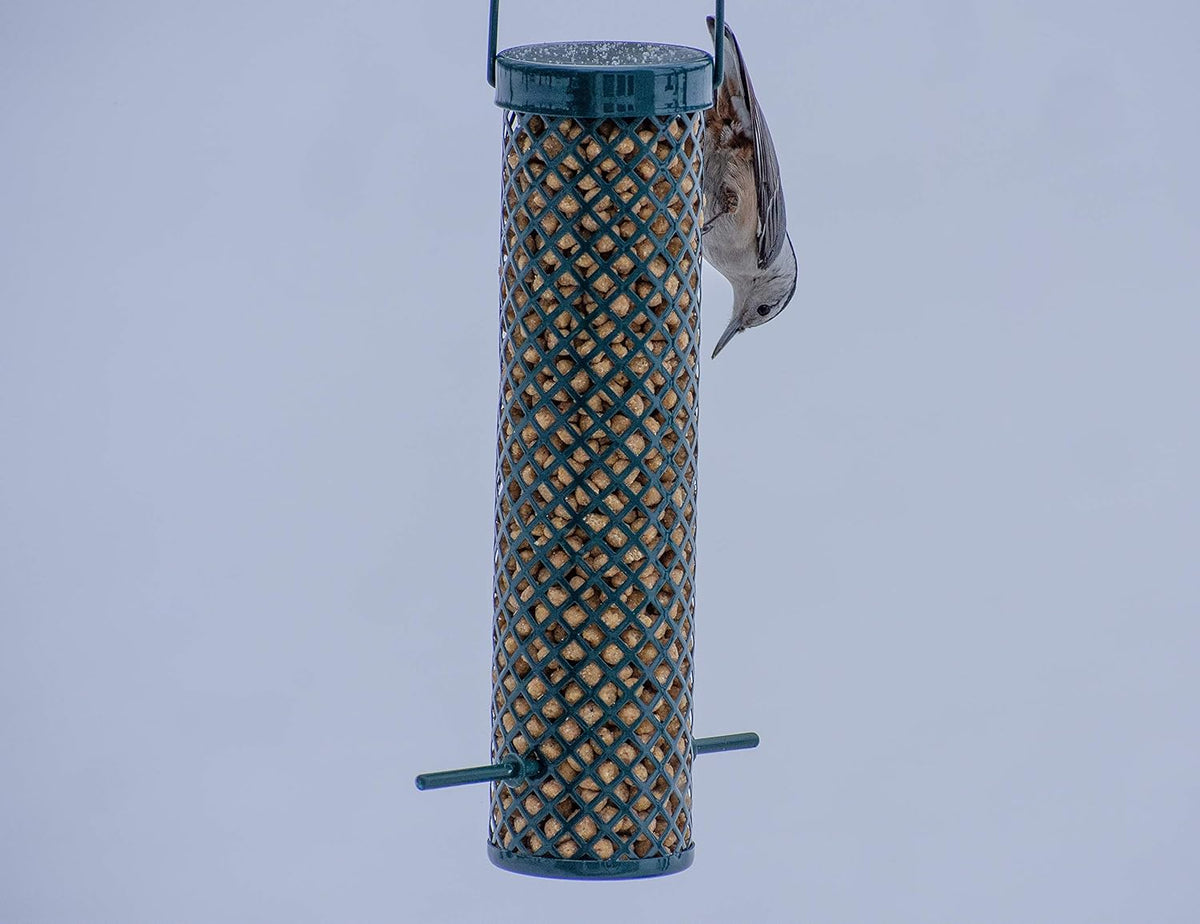 C&S Wild Bird Woodpecker Suet Nuggets Mega Box, 8 Pounds (Pack of 2)