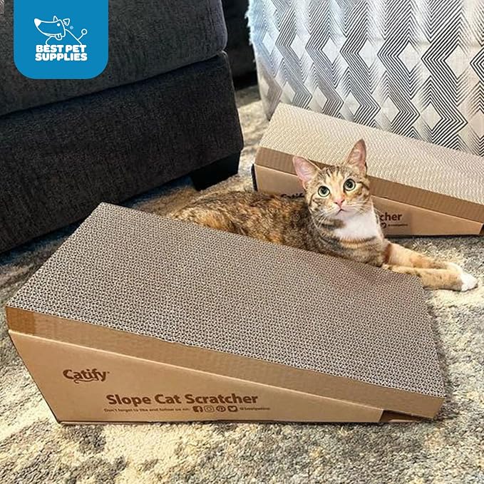 Best Pet Supplies Catify Cat Scratcher, Fun Interactive Scratchers, Posts, Poles, Claw Safe, Furniture Saver Indoor Play Support Natural Cat Behaviors Heavy Duty - Slope (2 Pack)