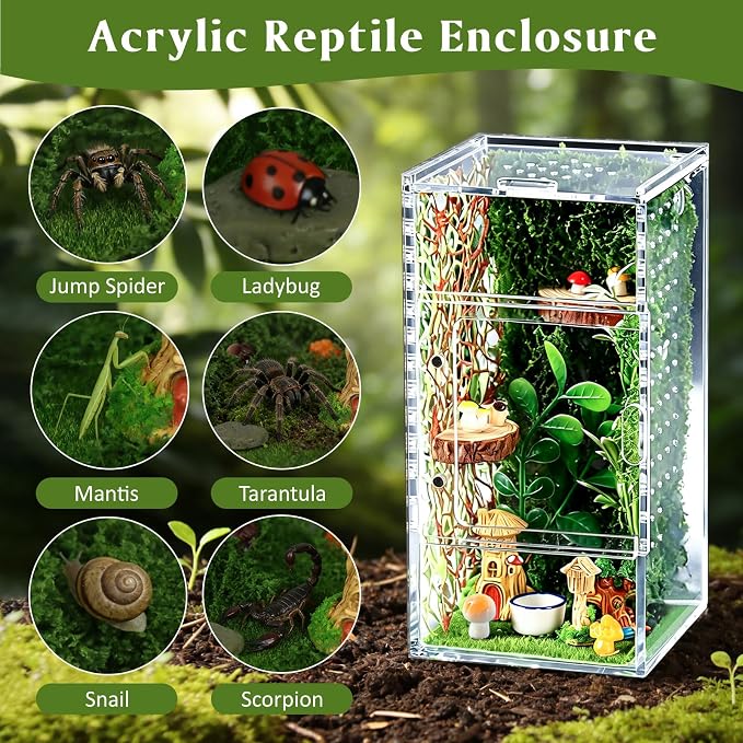Jumping Spider Enclosure Kit, Small Acrylic Reptile Terrarium with Magnetic Door, Bug Habitat with 30 Pcs Jumping Spider Accessories for Tarantula, Mantis, Small Reptiles, 4" x 4" x 8"