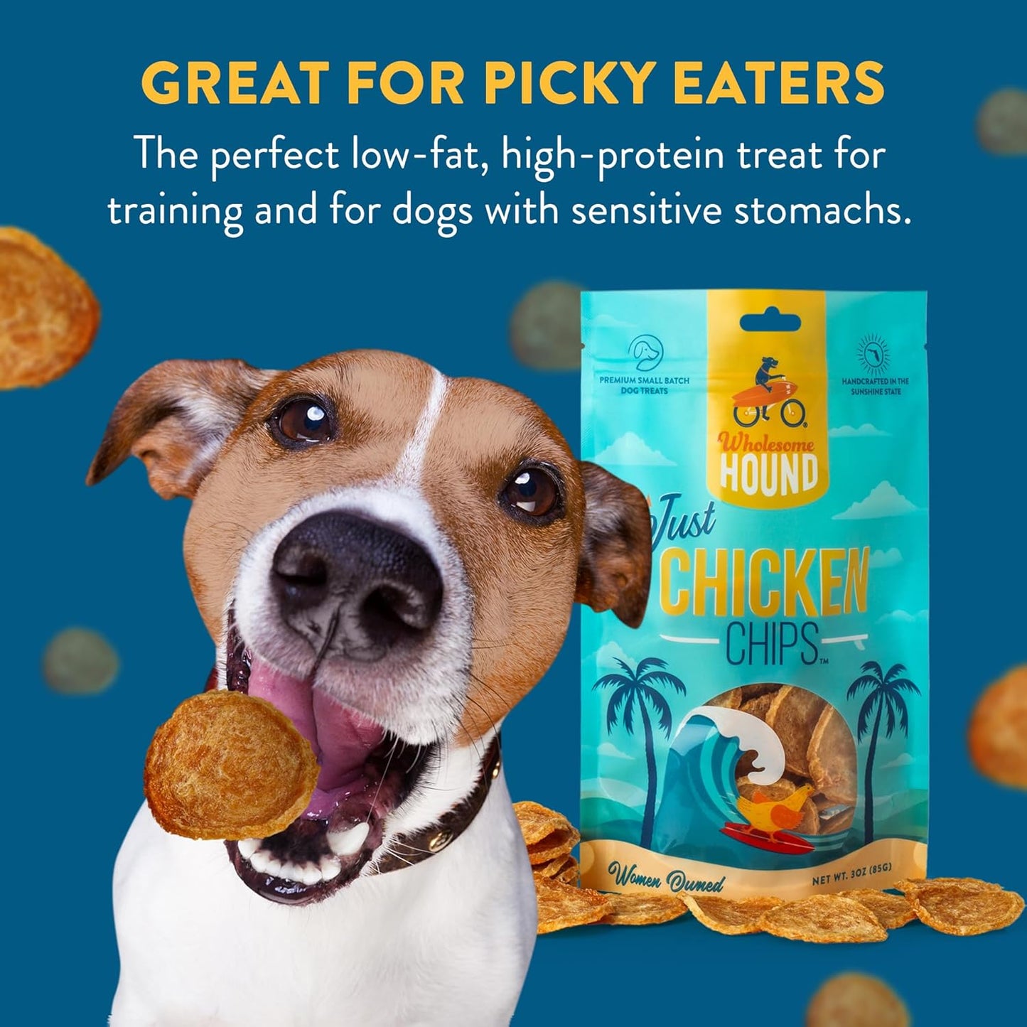 Chicken Chips – Single Ingredient Dog Treats, All Natural & Healthy Training Snacks for Small, Medium & Large Breeds, Puppies – High Protein, Made in USA 3oz