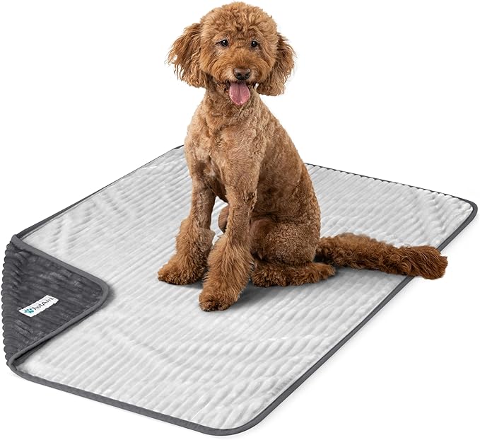PetAmi Waterproof Dog Blanket, Leakproof Pet Blanket for Small Medium Large Dog, Reversible Furniture Bed Sofa Couch Cover Protector, Soft Striped Pet Throw for Indoor Cat, 60x80 in, Grey Light Gray