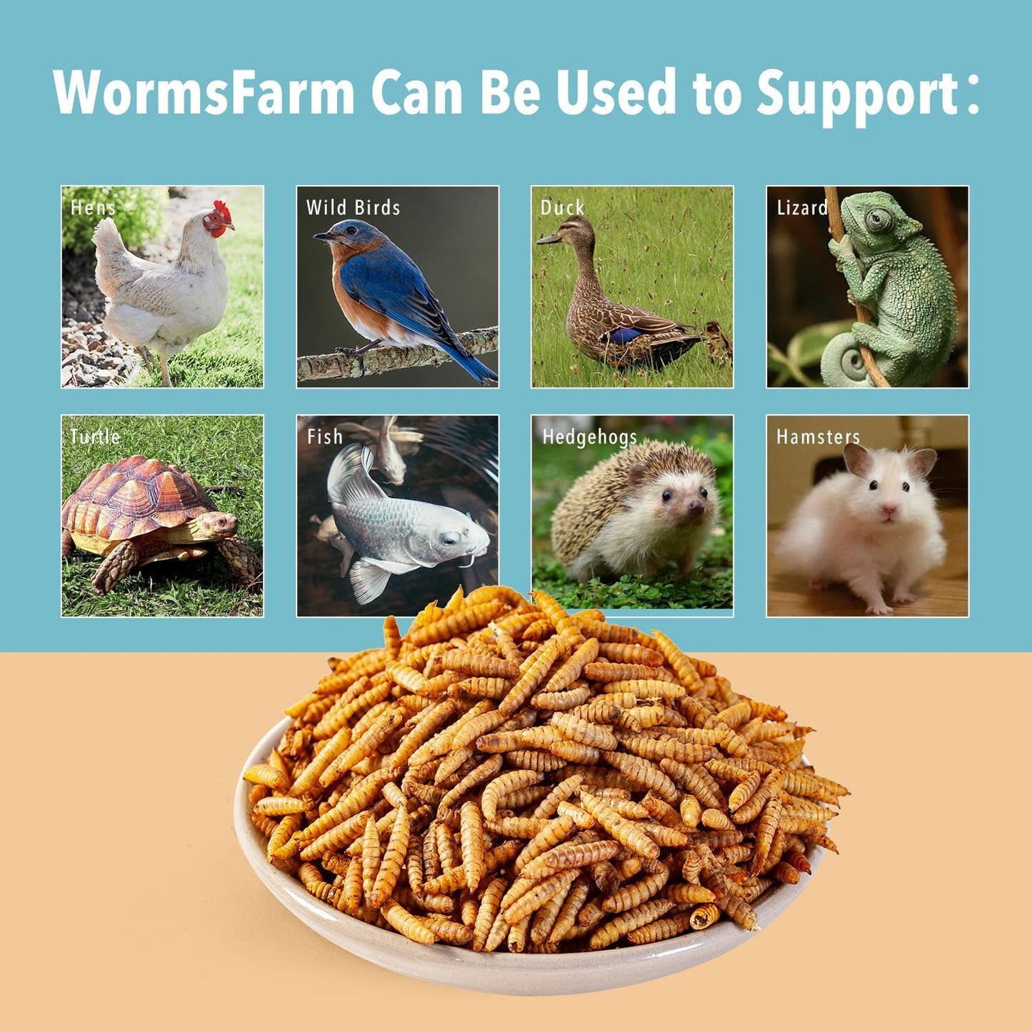 10lb Dried Black Soldier Fly Larvae Treat for Chickens More Calcium Than Mealworms,for Laying Hen,Wild Birds(10 Pound)