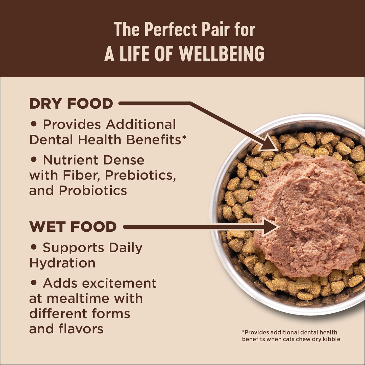 Wellness CORE+ Adult Dry Cat Food for Indoor and Outdoor Cats, Wholesome Grains, Natural, Digestive Health Salmon & Rice (5 Pound Bag)