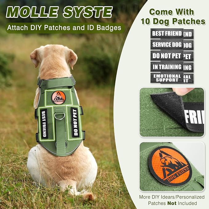 Service Dog in Training Vest and Leash Set+10 Patches,Escape Proof | Heavy Duty Tactical Dog Harness with Metal Buckles for Large Sized Dogs,No Pull Front Back Clips,for Training Hiking,Green XL