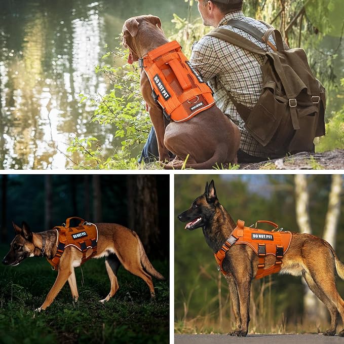 Tactical Molle Vest Mesh Dog Harness with 10 Removale Pet Patches | Breathable Service Dog harness with Double Soft Padded Handle for Small Dog, Reflective Military Pet Vest for Walk Hiking