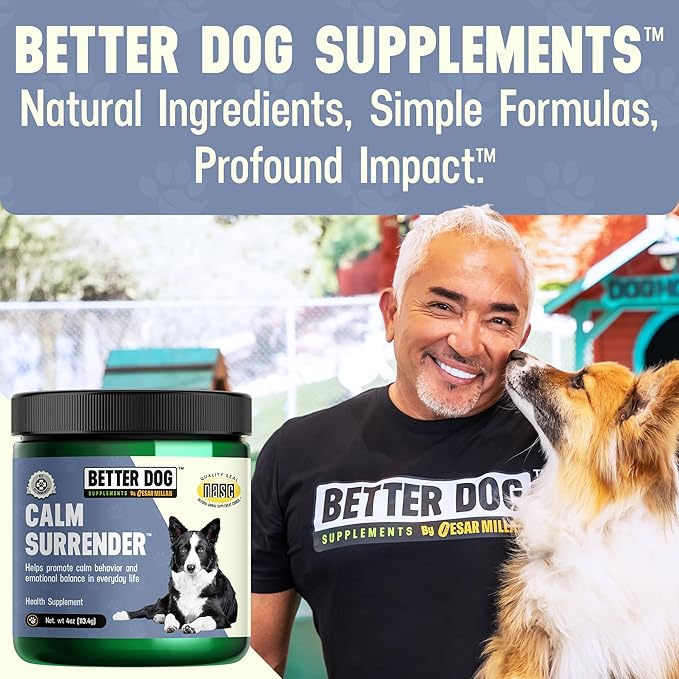Better Dog Supplements Calm Surrender by Cesar Millan โ Natural Dog Calming Powder for Stress, Anxiety, Grooming, Travel & Thunderstorms โ Catnip, Chamomile & Valerian โ 4oz, (60-Day Supply)