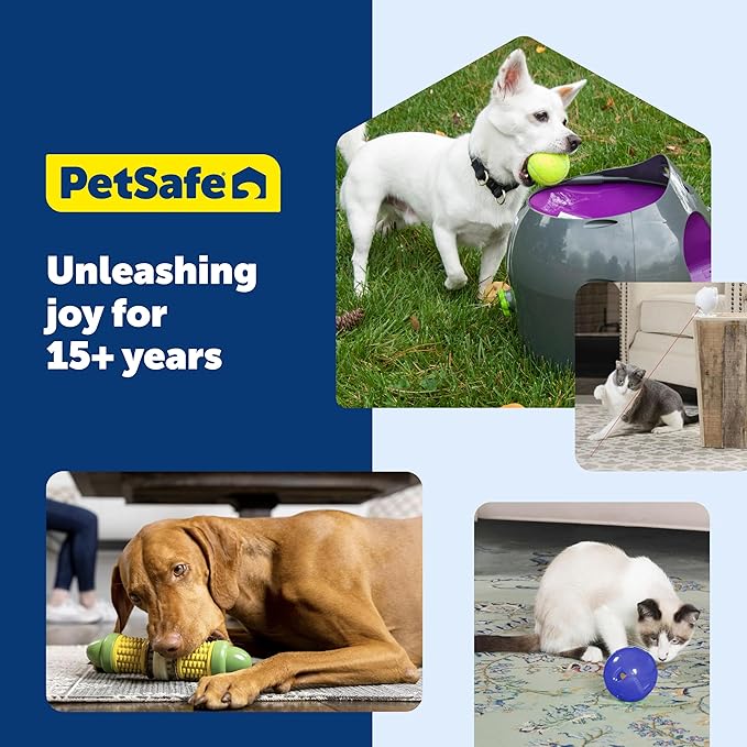 PetSafe Chilly Penguin Freezable Treat Holding Dog Toy, Medium/Large | Fill with Frozen Treats Like Peanut Butter or Wet Dog Food, Vanilla-Scented and Stackable Design, Top-Shelf Dishwasher Safe