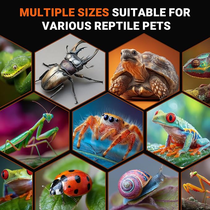 Jumping Spider Enclosure, Acrylic Terrarium with with Magnetic Doors, 0.8mm Micro-Ventilation, Stackable Escape-Proof Habitat for Jumping Spiders, Tarantulas & Small Reptiles, 3”x3”x6”