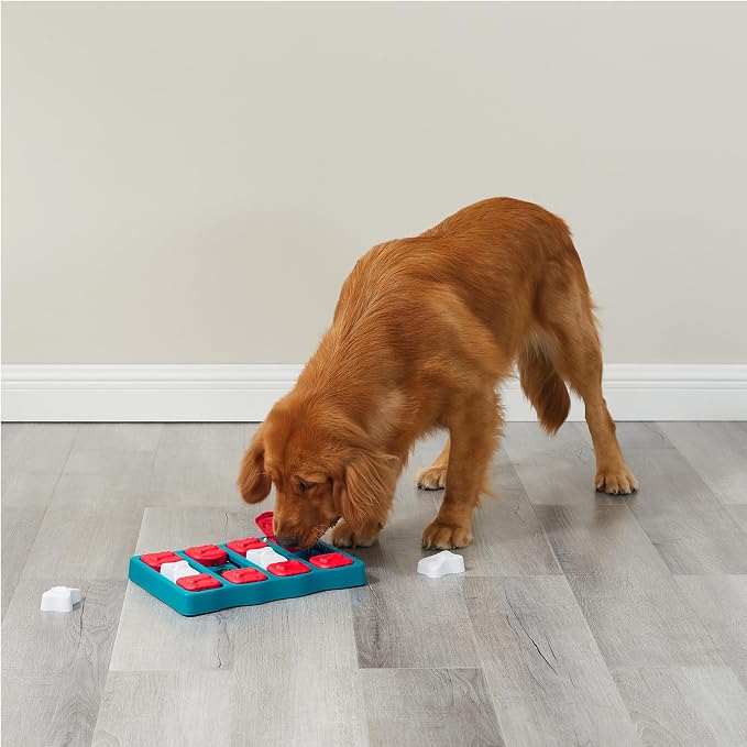 Outward Hound by Nina Ottosson Dog Brick – Interactive Treat Puzzle Enrichment Toy, Level 2 Intermediate (Pack of 12)
