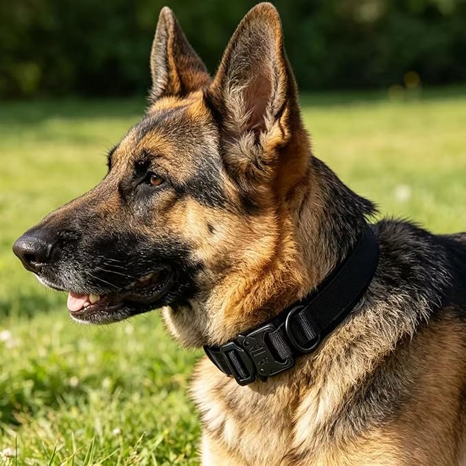 Tactical Dog Collar for Large Dogs with Control Handle,Black,L | Adjustable Fit,Heavy-Duty Quick-Release Metal Buckle,1000D Nylon Fabric,Soft-Padded Webbing,D-Ring,for Training & Hiking