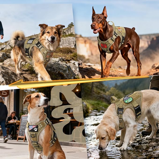 rabbitgoo Tactical Dog Harness for Small, Heavy Duty Military No Pull Vest | Sturdy Metal Buckles, 5 Adjustments, Molle System, Powerful Pullers for Training, Hunting, Outdoor, Brown Reflex, Small