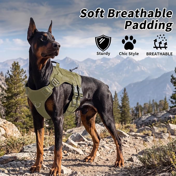 Tactical Dog Harness for Medium Dogs, Heavy Duty No Pull Dog Harness with Handle, Adjustable 6-Buckle Pet Vest for Pitbull, Border Collie, Boxer, Walking, Training, Hunting