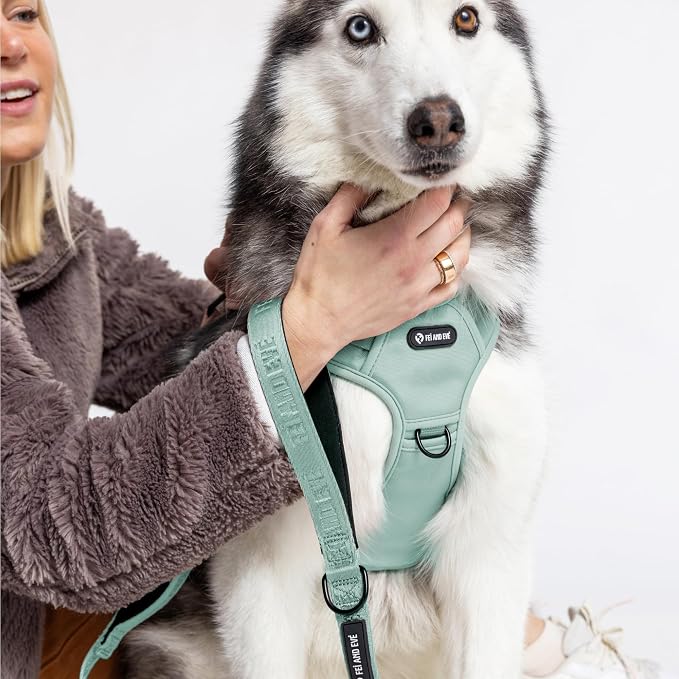 Fei & Eve Classic Dog Harness, MagEase Magnetic Buckle | 3-Point No-Pull Control, Dual Handle Support, 900D Nylon, Tactical Patch Panel, Heavy Duty, Large, Green
