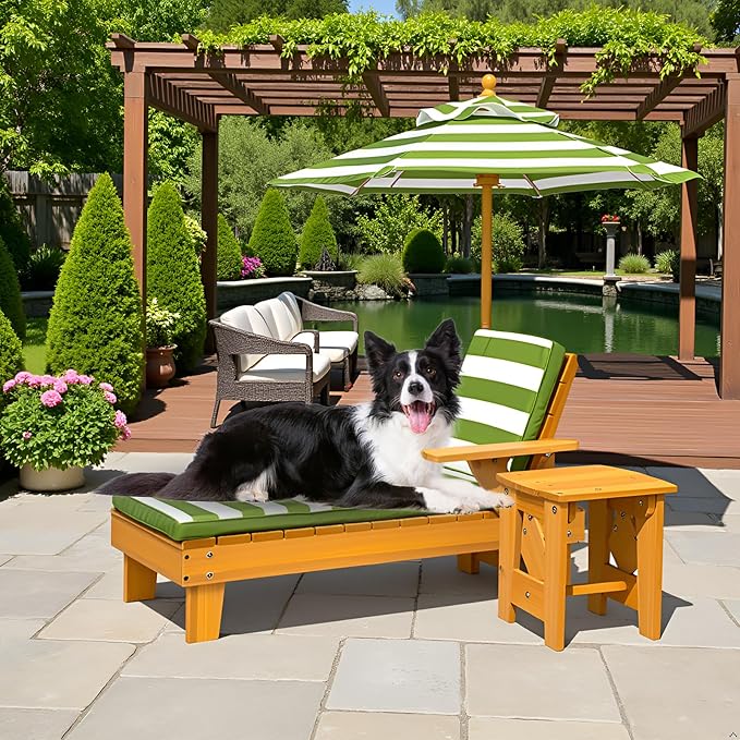 Elevated Dog Bed for S&M Dogs with Waterproof Canopy | Indoor/Outdoor Pet Chaise for Backyard, Pool, Beach | Removable Cushion & Shade Umbrella | Modern Patio Furniture for Pets