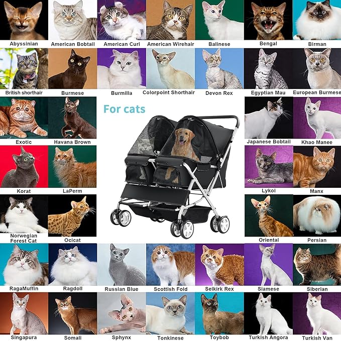 Double Pet Stroller for 2 Dogs & Cats, Side-by-Side, Black | Foldable Two-Seater with Separate Cabins, 44 lb Capacity, Dual Baskets and Safety Tethers for Walks, Travel and Vet Visits