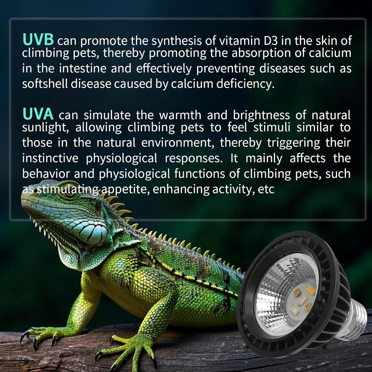 UVB Light Bulb for Reptiles, LED 3W 10.0 UVA UVB Heat Lamp Bulbs Ideal for Rainforest Reptiles, Bearded Dragons Lizard Turtle Tortoise Iguanas Chameleons Snake (1 Pack)