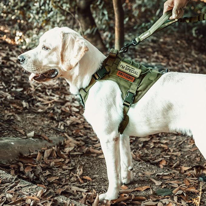 OneTigris Tactical Dog Harness No-Pull Breathable Pet Vest for Small Dogs | Military 1000D Pullable Nylon, Service Dog Vest with Hook & Loop Panels, Easy On & Off for Walking Hiking Training Green S