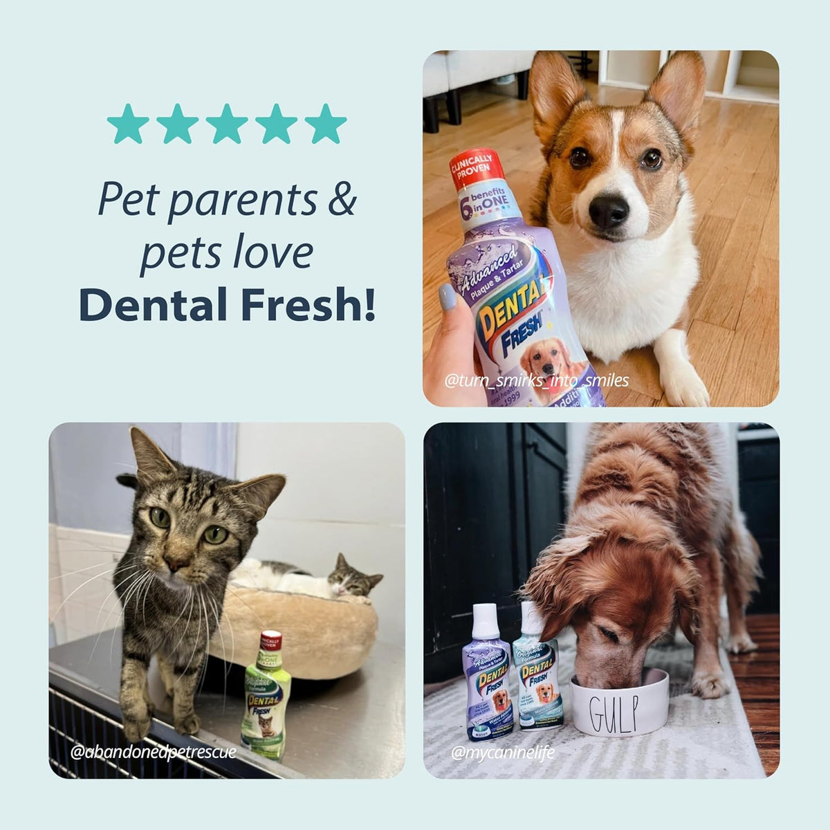 Dental Fresh Water Additive for Dogs, Original Formula, 64oz – Dog Breath Freshener and Dog Teeth Cleaning for Dog Dental Care– Add to Water