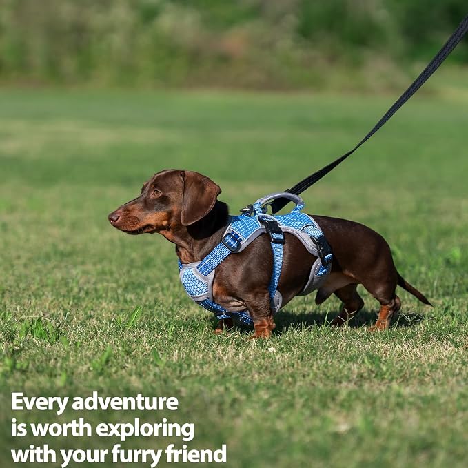 Escape Proof Dog Harness, Dachshund Harness, Reflective Dog Harness with Handle, Durable,Adjustable Vest for Small Medium Large Dogs Walking, Training, and Running Gear (Sea Blue,L)