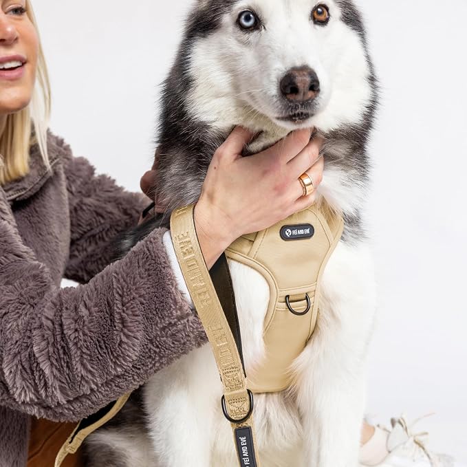 Fei & Eve Classic Dog Harness, MagEase Magnetic Buckle | 3-Point No-Pull Control, Dual Handle Support, 900D Nylon, Tactical Patch Panel, Heavy Duty, Medium, Champagne