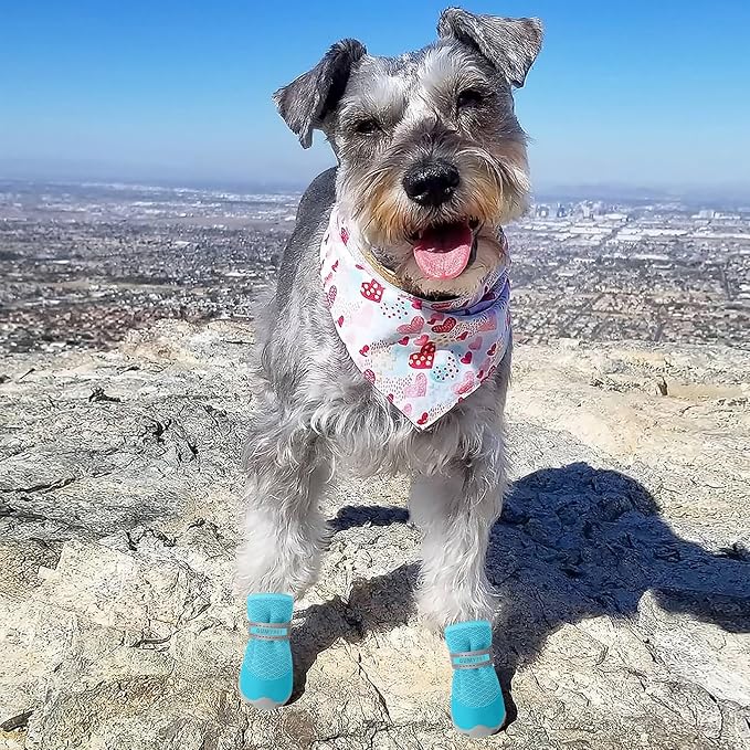 QUMY 4PCS Dog Shoes for Small Dogs, Hot Pavement Summer Puppy Dog Boots & Paw Protectors with Soft Anti-Slip Rubber Sole, Mesh Breathable Dog Booties for Hardfloors, Walking Running Blue Size 2