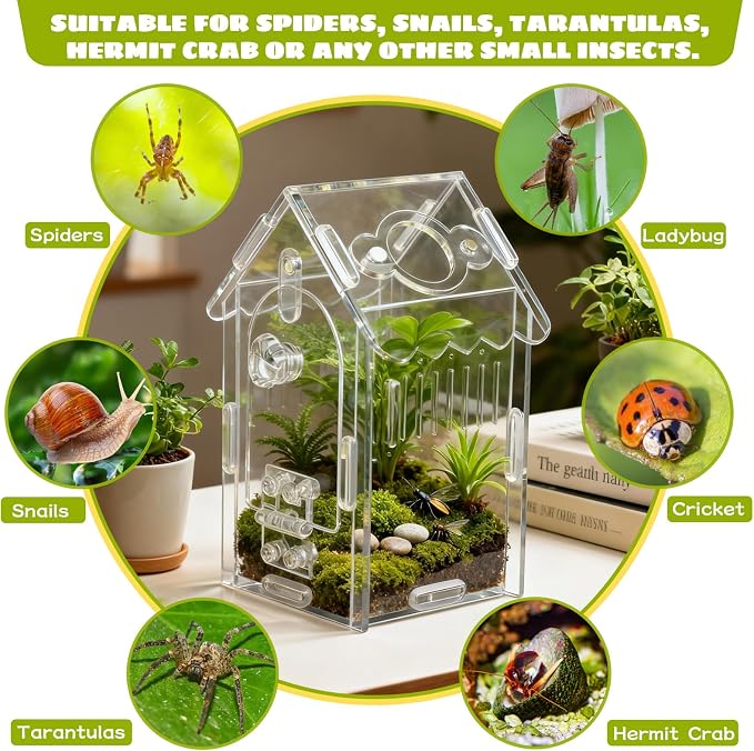 Jumping Spider Enclosure Acrylic Spider Cage Insect Terrarium Bug Enclosure Tarantula Enclosure Reptile Terrarium for Snail, Mantis, Lizard, and Small Reptiles - Small House Shape