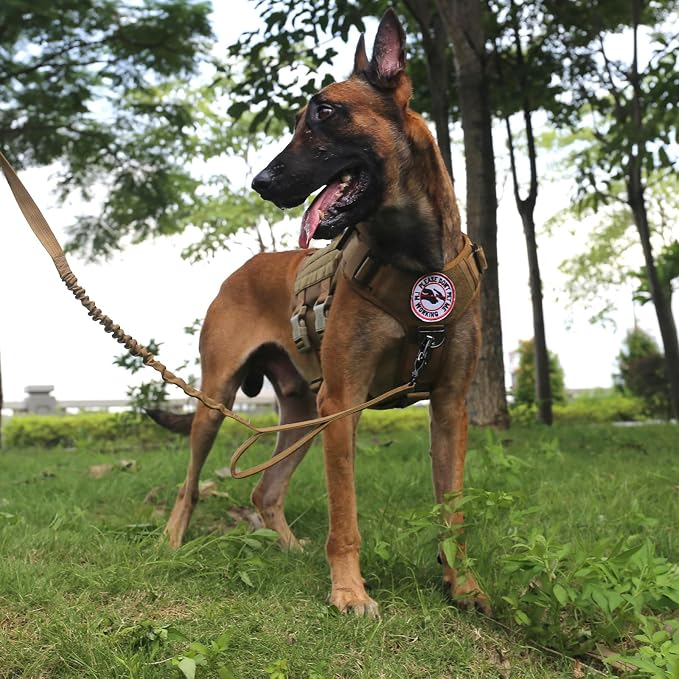ICEFANG No Pull Tactical Dog Harness for Large Dogs,Adjustable Dog Vest | Control Handle,MOLLE Panel,Front Hook,3 Leash Clips,Soft Padded,for walking training,Brown,Large