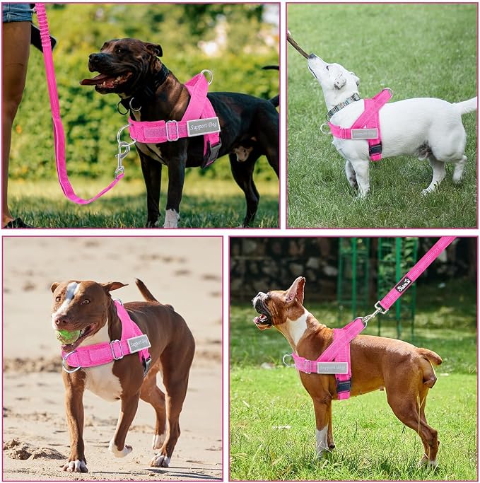 SlowTon No Pull Dog Harness with Front Clip - Heavy Duty, Soft Padded | Neck & Chest Adjustable, Tactical Pet Vest and Leash Set for Large Medium Sized Dogs, for Easy Walk & Training, Fuchsia XL