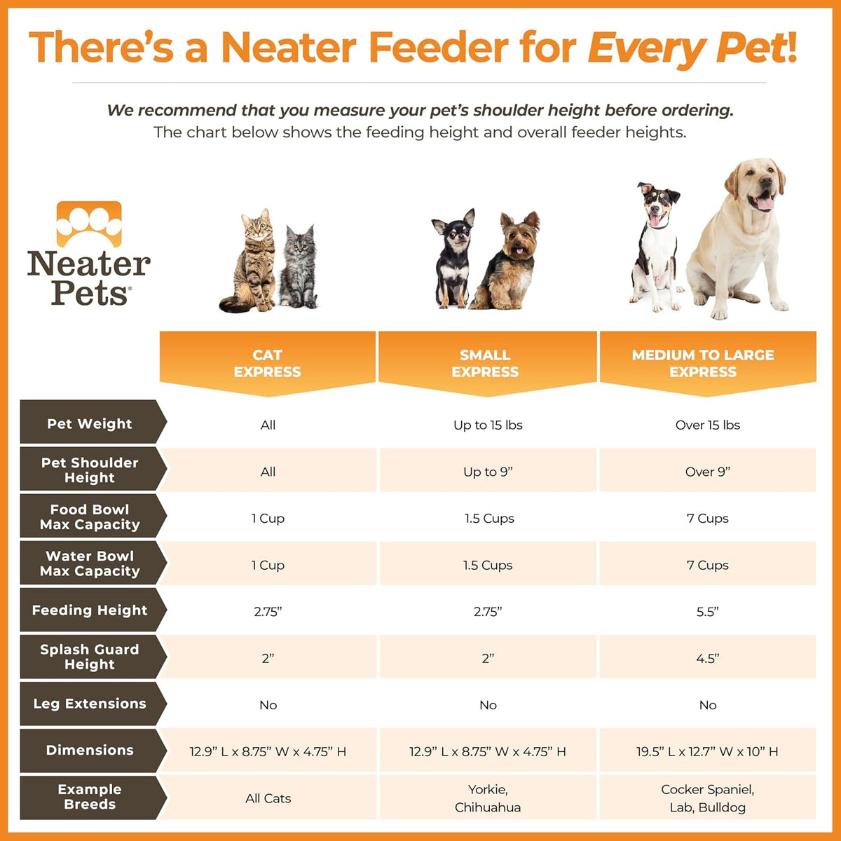 Neater Feeder Express Mess Proof Dog Bowls Elevated for Medium to Large Sized Breed, No Spill Raised Dog Food Bowl Stand, Stainless Steel Food and Water Bowl Set, Pet Dish Feeding Station, Black