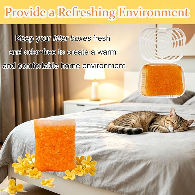 12 Packs Cat Litter Deodorizer Refills Compatible with Whisker OdorTrap Pod | Odor Eliminator for Self-Cleaning and Traditional Litter Boxes (Osmanthus)