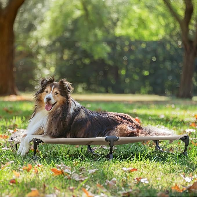 Upgraded Non-Slip Daisy Cot, Medium Foldable Elevated Dog Bed, Portable Raised Outdoor Folding Dog Cot for Camping/Home, Chew Proof Waterproof Heavy Duty Up to 160 Lbs, Brown, 32"x 23"