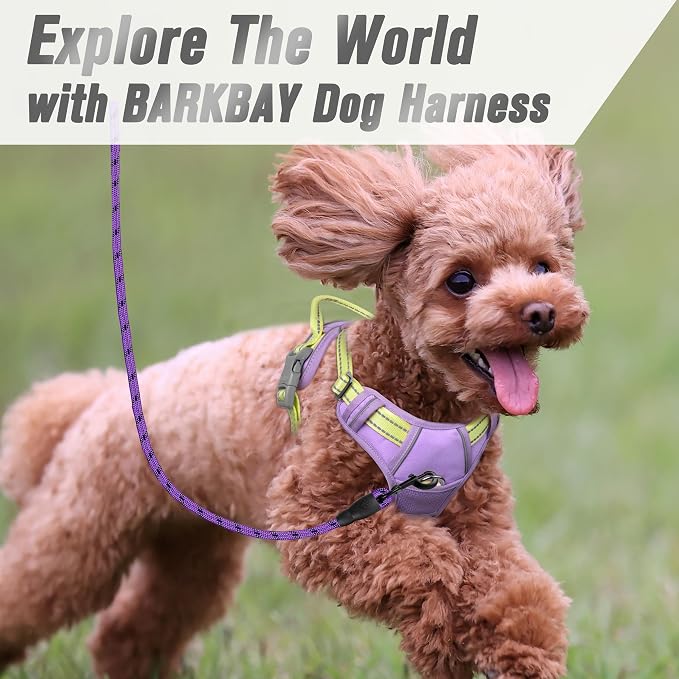 BARKBAY Dog Harness No Pull for Small Sized Dog Front Back Clips,Dog Vest | Soft Padded No Choke With Handle,Easy On&Off,Adjustable Reflective For Walking Training Running(Violet Purple & Sunlight,S)