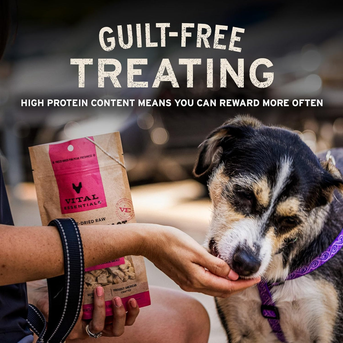 Vital Essentials Beef Bites Dog Treats, 2.5 oz | Freeze-Dried Raw | Single Protein | Premium Quality High Protein Training Treats | Grain Free, Gluten Free, Filler Free