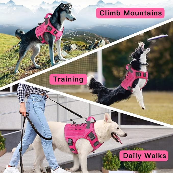 WINGOIN Pink Tactical Dog Harness for Small Dogs,No Pull Dog Harness | Heavy Duty with Handle,Adjustable Reflective,Military K9 Body Pet Vest,for French Bull Pugdog,for Walking Training Running