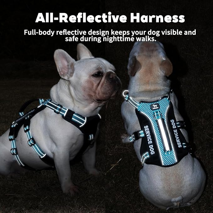Service Dog Vest Harness, Escape Proof Harness with 6 Patches, No-Pull, Reflective Harness with Handle, Adjustable for Small to Large Dogs, for Training and Hiking (Teal, S)
