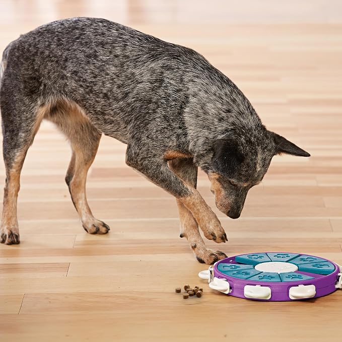Outward Hound by Nina Ottosson Dog Twister – Interactive Treat Puzzle Enrichment Toy, Level 3 Advanced