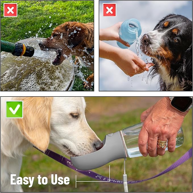 Mr. Pen- Portable Dog Water Bottle, 19 oz, Large | Leak Proof Puppy Water Dispenser with Drinking Feeder for Pets, Outdoor Walking, Hiking, Travel, Not Dishwasher Safe
